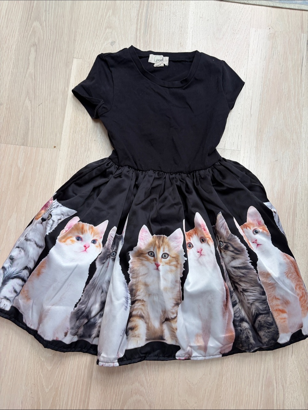Peek Black Short-Sleeve Dress with Multi-Color Kitten Border